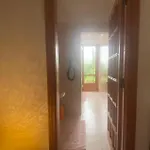 Patrizia Sul *